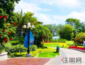 云星·海景台|为它打Call的何止是这里的未来，还有这里宜居的气候！