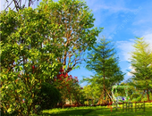 连续8年举办民俗文化节