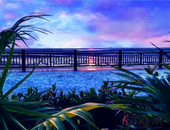 常乐镇花开“引蝶”