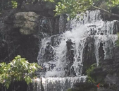 实探南京楼市:多个板块房价突破限价 开年首现日光盘