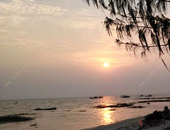 除个别超大城市外放开放宽落户限制