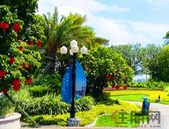 优化营商环境 建设**队伍 拉动三产增长