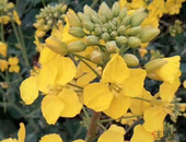 发改委预计今年房地产等 五行业有望成投资热点