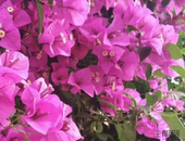 城企联动普惠养老专项行动：提供工薪层买得起的养老服务