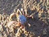 发改委：2019年固定资产投资将呈现企稳态势