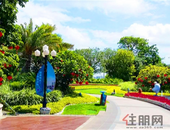 王乃学赴京拜会**发展和改革委以及中国石化公司