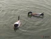 “租房幸福感”城市排行:南京第三苏州第四