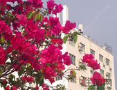 **自然资源部：今年土地问题仍备受关注