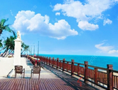 规模农业 特色产业 转移就业