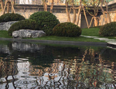 住宅规范呼应了购房者的幸福安居需求