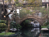 31地相继发布 地方税种减免