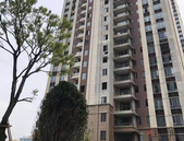 【贵港碧桂园】2月家书|春意浓 “家”期近