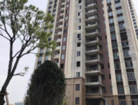 【贵港碧桂园】2月家书|春意浓 “家”期近