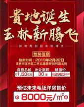 玉林土拍2019开门红！“金科”进驻玉东新区再摘宝地