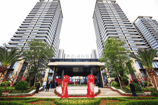 美好又一年 | 一封绿城家书，述说杨柳情长