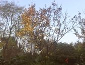 “北斗产业”助力北海智慧城市建设