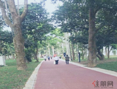 蔡锦军到银滩6 N项目工地现场办公时强调：坚定推动银滩改造 擦亮做美城市名片