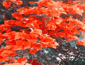 让大城市的实习生有个住处