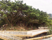 百强房企2月业绩环比跌幅超两成