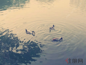 北海市市场监督管理局揭牌