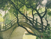 推动北防钦一体化发展