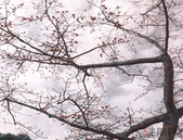 粤港澳大湾区成全国两会热词 10强房企土储货值达3万亿元