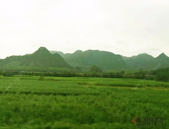 集体就业用地不能建住宅和服务型公寓