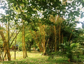 北京：新建中小学幼儿园绿地率不低于30%