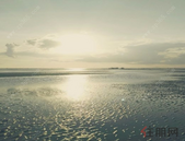 推盘期前置 北京高端盘抢收