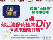 ​郁江湾多肉植物DIY，**温馨开启