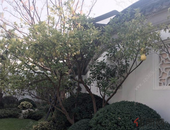 推动宣传思想文化工作再上新台阶