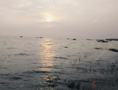 四川省副省长李云泽一行到铁山港调研