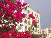 人大财经委：尽快提出将房地产税法提请审议时间安排