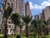 2019年2月北海市房地产市场交易情况