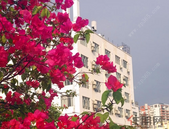 北海不动产登记业务办理地点变动公告