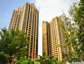 三月业主生日浪漫派对，凯旋与您欢喜庆生！