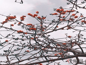 北海设立“精神文明建设贡献奖”