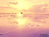 铁山港区产业项目建设“开门红”