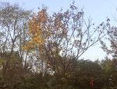 北部湾资源再生环保服务中心加紧建设