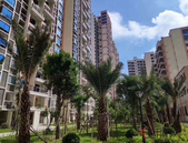 50城卖地5967亿元同比降20% 土地溢价率下行房企拿地退烧