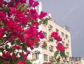 首套房贷款利率下调 差异化信贷政策落地