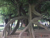 北京：企业和企业之间非住宅交易网签取消