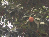 南京本月起提取公积金更方便了