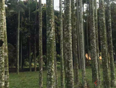 城市电竞酒店热潮涌动 部分年轻人的“异度空间”？