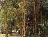 再探海南楼市：全域限购10个多月 开发商亏钱却仍在坚守