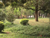 春节后的北京二手房市场：挂牌房源明显增多 基本盘保持稳定