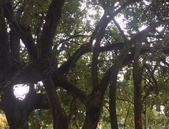 北海外贸进出口首月“开门红”