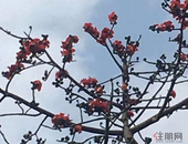 勇于担当 不辱使命 把会议精神贯彻落实到履职工作全过程各方面