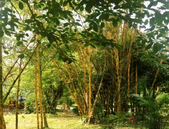 佳兆业财富举办2019投资论坛 聚焦财富投资新机遇