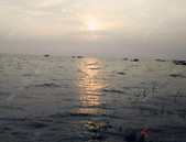 部署全市交通运输工作